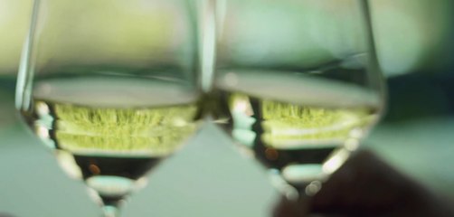 Grands Crus d'Alsace : la bande annonce