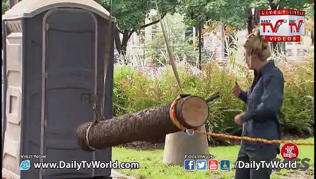Public Toilet hit with Tree Prank - Just for Laughs GAGS