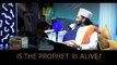 Why Ahlus Sunnah _ _ Ummah Channel Add 2014
