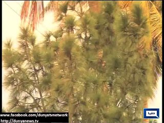 Dunya News - Rain continue in various parts of Pakistan