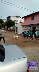 Good People Save a Dog from Being Killed by an Angry Pitbull