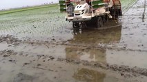 Planting Rice By Machine with latest new technology
