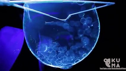 Baloncuklarla Yapılan Büyüleyici Gösteri