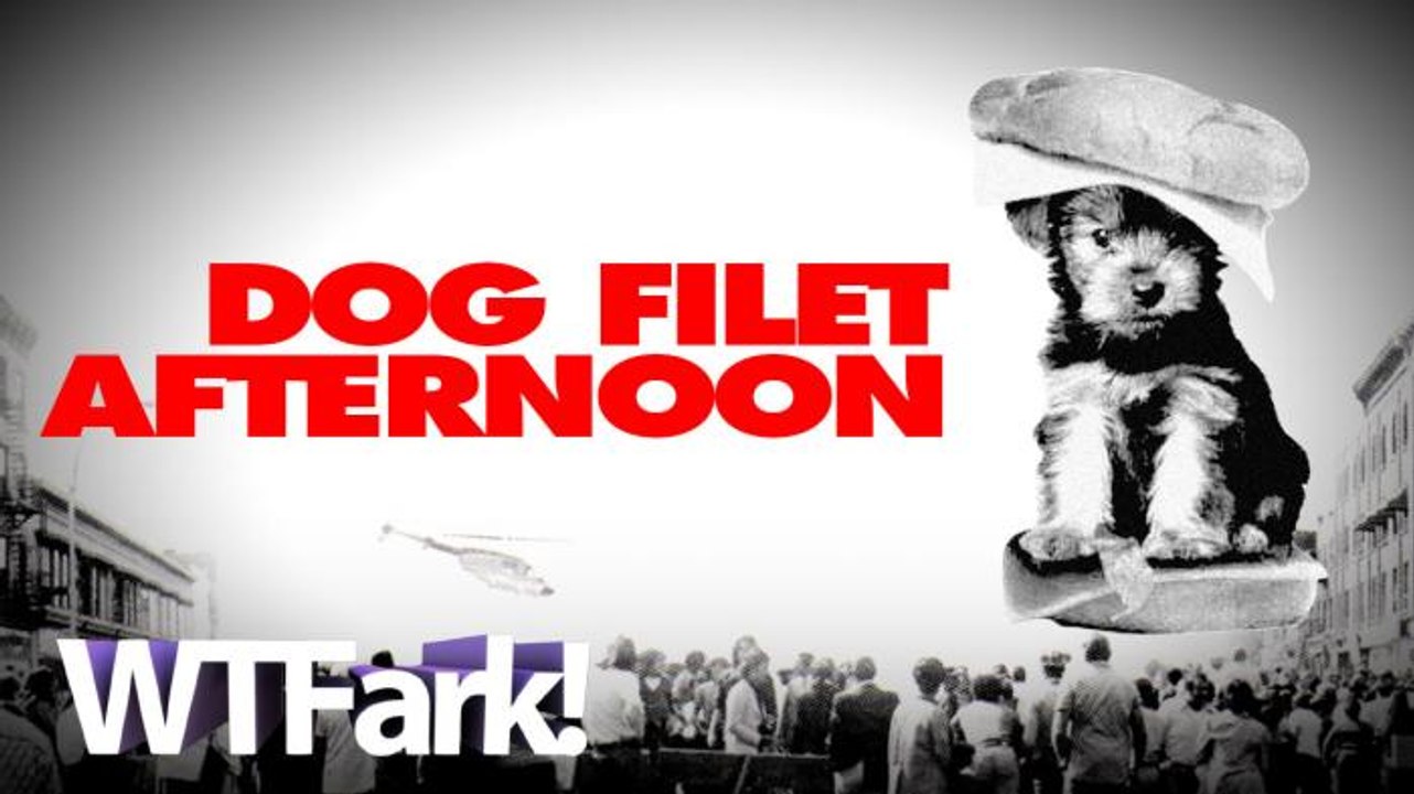 DOG FILET AFTERNOON: Old South Korean Man Brings Dog Meat To Recovering US Ambassador