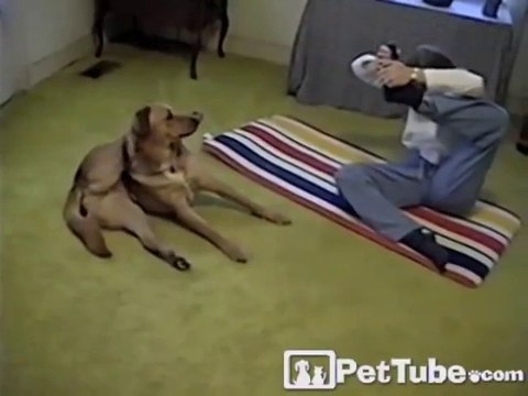 Un chien fait du YOGA avec sa maitresse! Un toutou très zen...