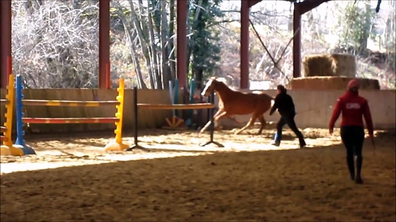 Calice-Fevrier2015
