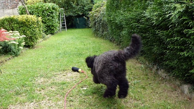 Barbet Vennie aime rapporter