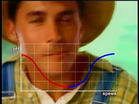 staroetv.su / Рекламный блок (НТВ, 24.04.1998)