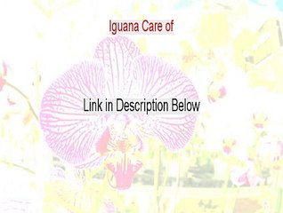 Iguana Care of PDF Download [Download Here]