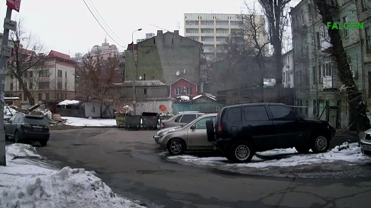 Elle sort jeter les poubelles un arbre lui tombe dessus ...