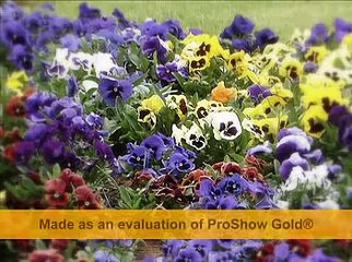 ibrahim erkal-aklımdasın