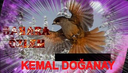 BAHARA ÖZLEM..KEMAL DOĞANAY...VİDEOSU