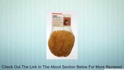 ProPlus Natural Painting Sponge Medium Texture, Large Review