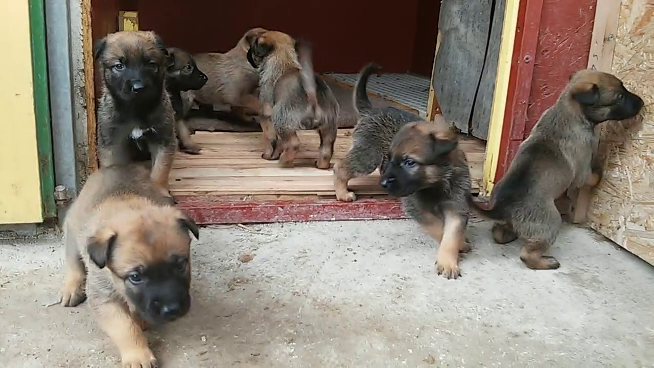 Be Aware H's @ Die Rasselbande hat Ausgang!