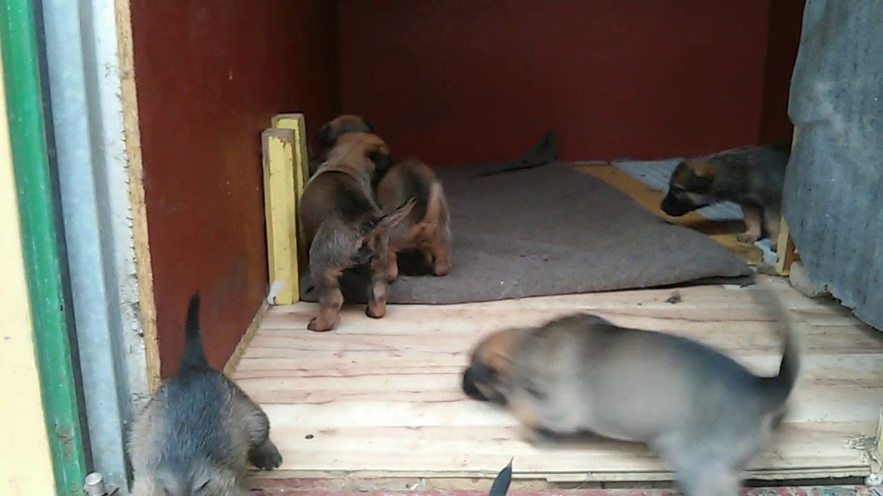 Be Aware H's @ R.U.N.