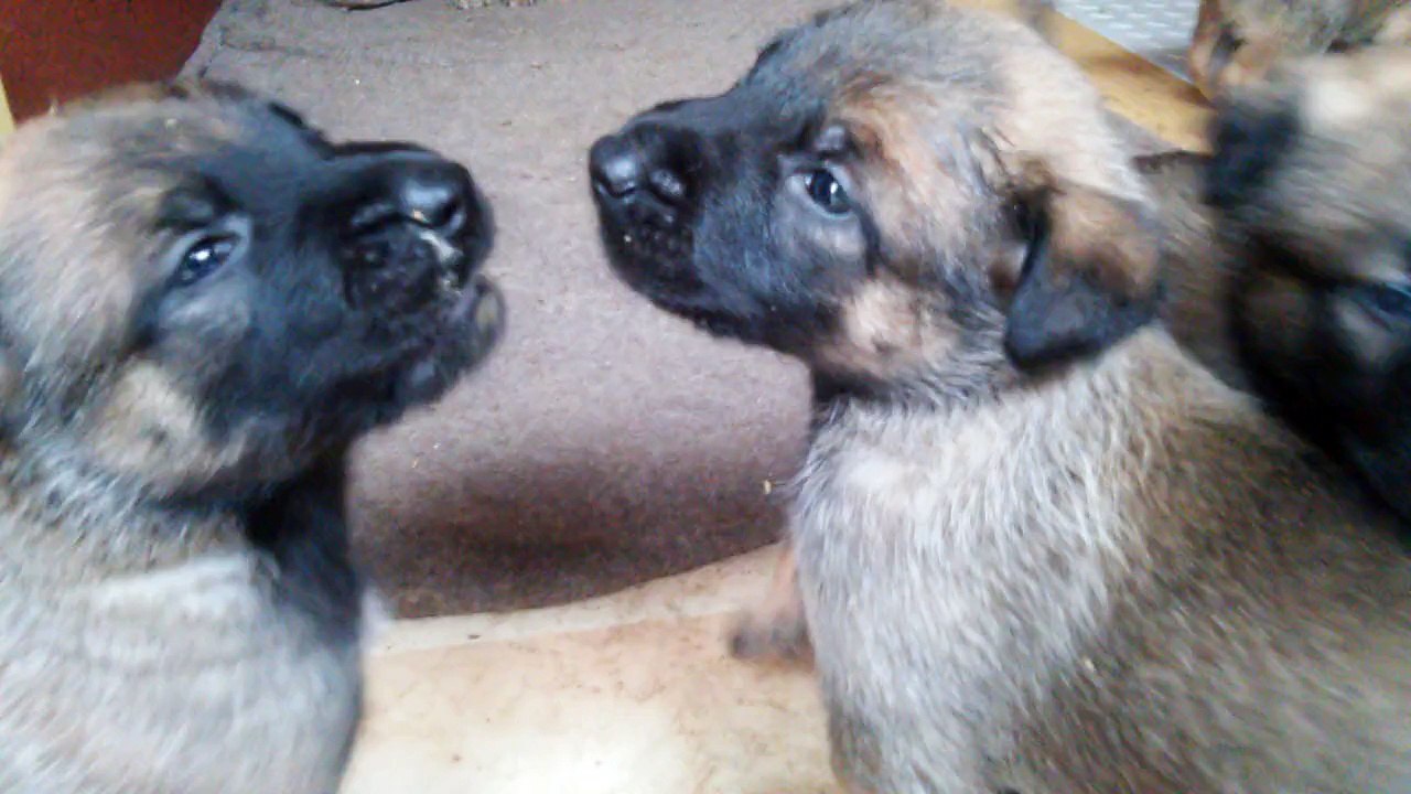 Be Aware H's @ Hey du!