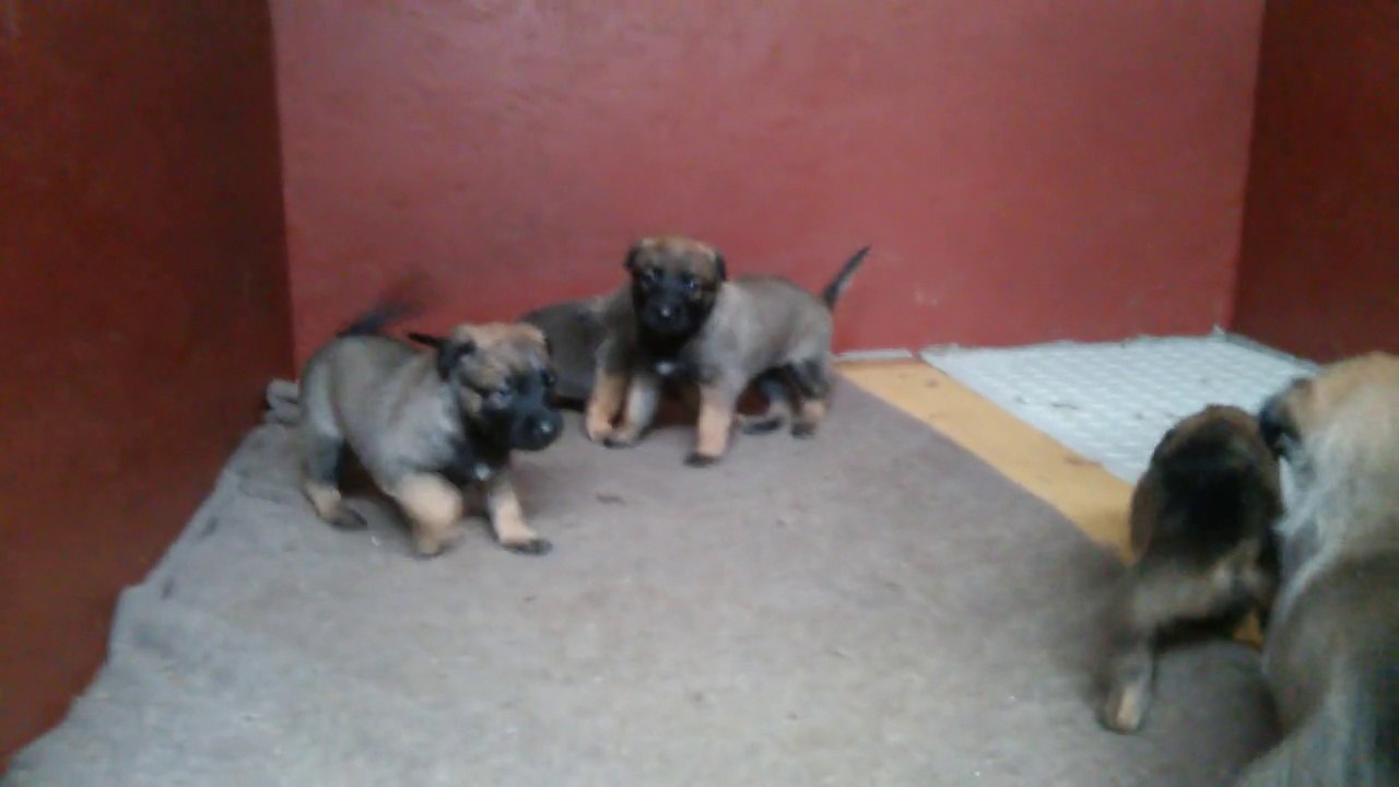 Be Aware H's @ Flink wie die Wiesel!