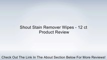 Shout Stain Remover Wipes - 12 ct Review
