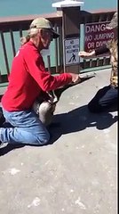 Pourquoi ce gars saute sur cet oiseau ?