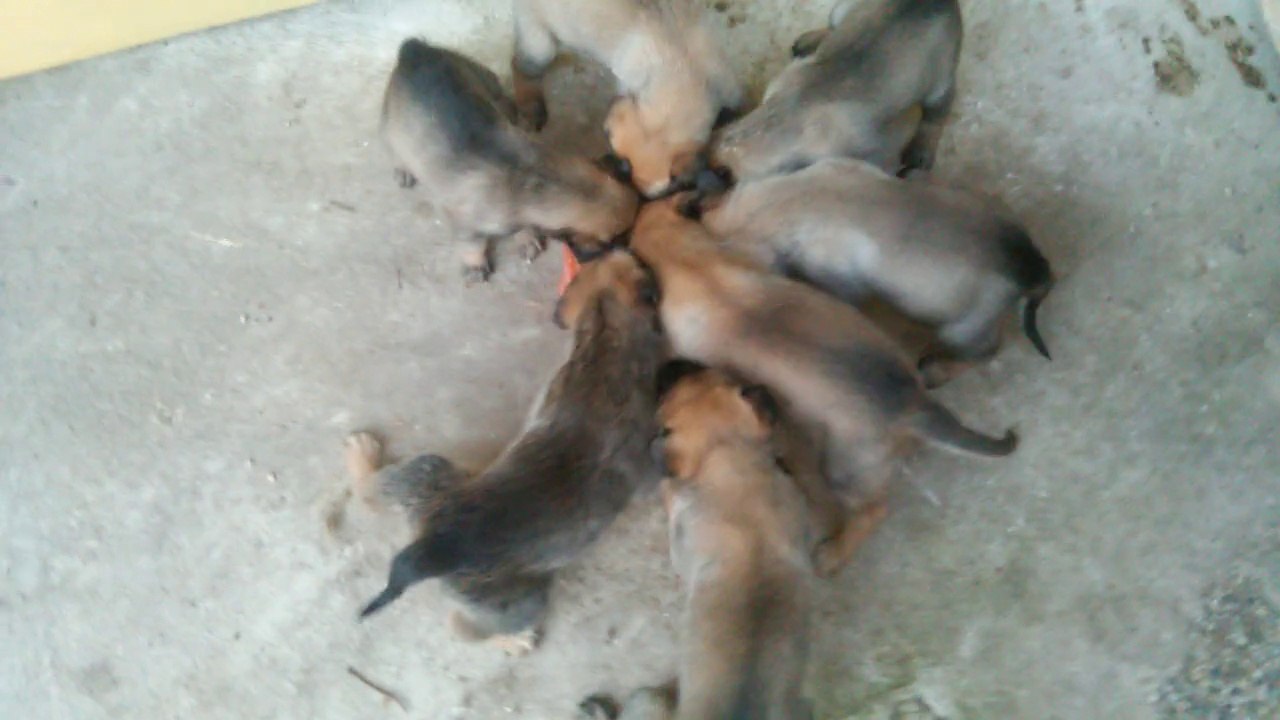 Be Aware H's @ Fleisch