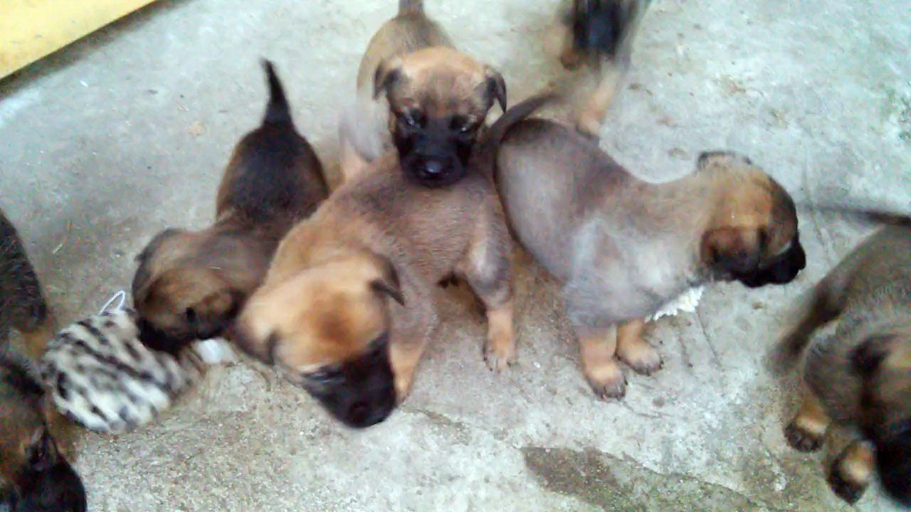 Be Aware H's @ Loud & Proud