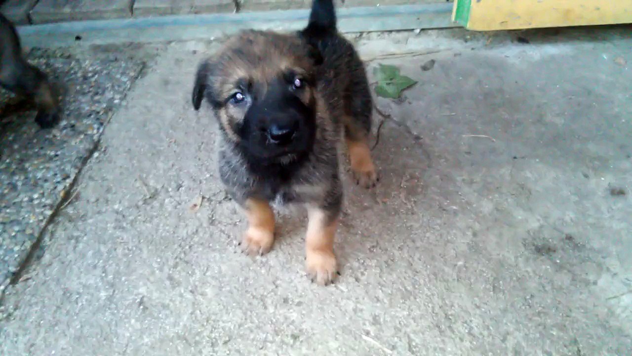 Be Aware H'Rüde @ Hello World!