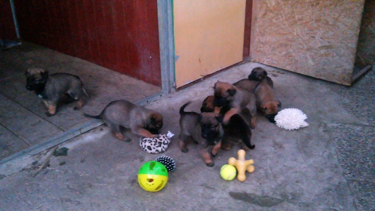 Be Aware H's @ Rasselbande