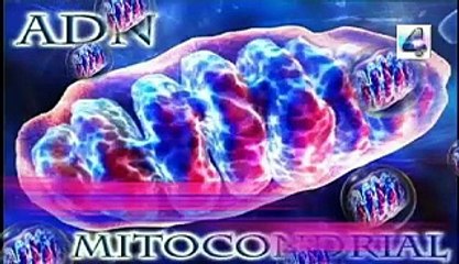 asi se filma la accion en video, Misterios y Enigmas, Español latino