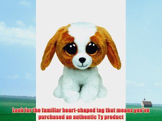 TY Beanie Boo Buddy 9 Plush - Dog Cookie