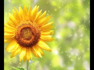 Tutorial on install 2014D VOLVO VIDA DICE Software