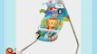 FISHER PRICE DISCOVER 'N GROW CRADLE 'N SWING