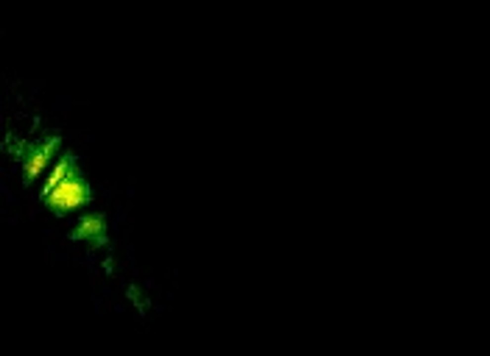 Majlis topic ehid torna 2013