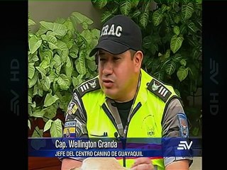 Dallyana Passailaigue se convierte en una policía antinarcóticos