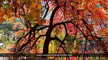 Gilgit Bultistan Pakistan( Beautiful short journey)