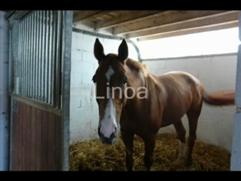 Mimi equitation_0001