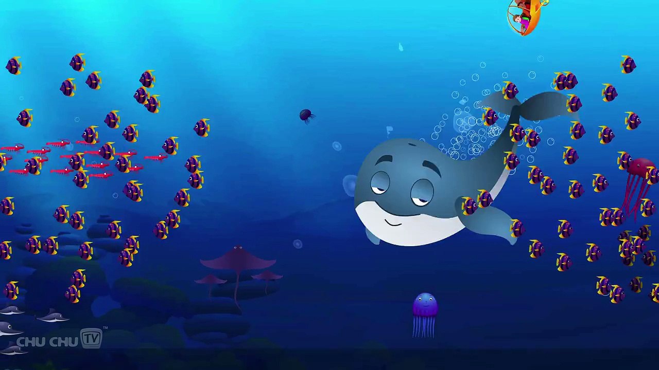 Blue Whale Song ChuChuTV Sea World Animal Songs For Children (HD ...