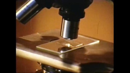 Poor Rich Boy l Thinking Heart (Official Music Video) l YouthMaza.Com