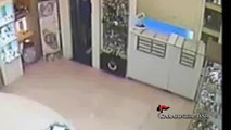 Barletta:  minorenne tenta di rapinare un gioielleria, arrestato dai Carabinieri - video
