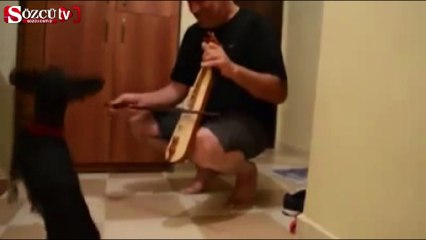 Böyle olur Trabzonlunun köpeği