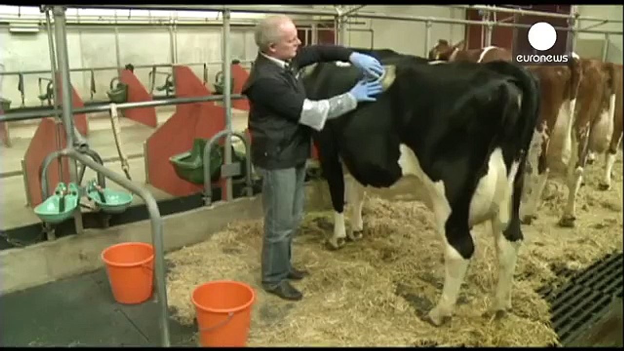 A Very Intersting Video must Watch