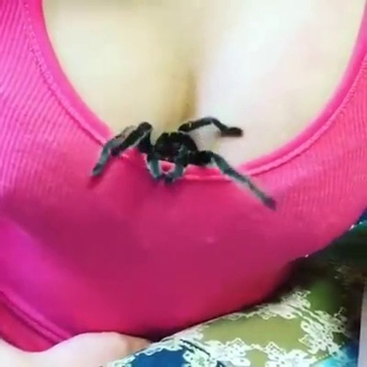 Spider Girl 2