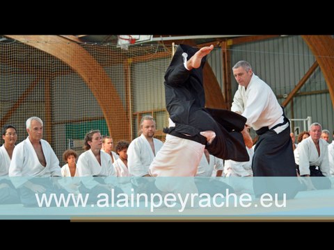 Stage d'Aïkido traditionnel en Bretagne avec Alain PEYRACHE