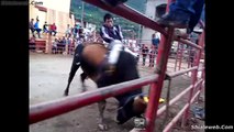 SUPER JARIPEO EXTREMO HD EN SANTIAGO LALOPA OAXACA MEXICO EN DONDE VALIENTES JINETES DEL PUEBLO MONTAN TOROS SALVAJES DE LA MEJOR GANADERIA DEL RANCHO LOCAL