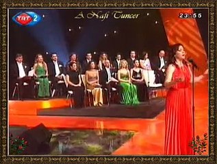 Meliha YAZICI *Her Tel Saçı Bir Ter Dudağın Değdiği Yerdir*