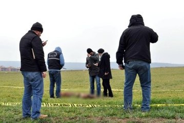 Eskişehir'de Sokak Köpekleri Kadını Parçaladı