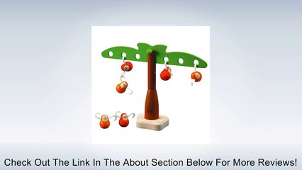 Plan Toy Balancing Monkeys Review
