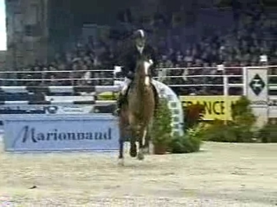 Csiparis2004-08