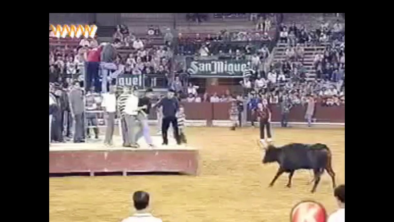 Funny Bull Try To Kill The Man