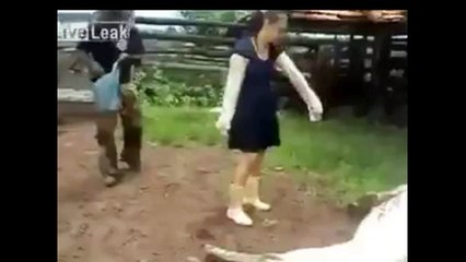 Funny Cow Kick To White Girl