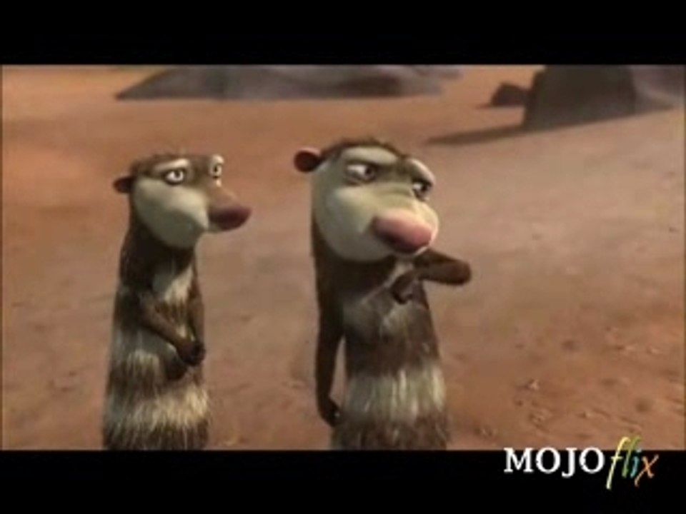 Opossum en folie !
